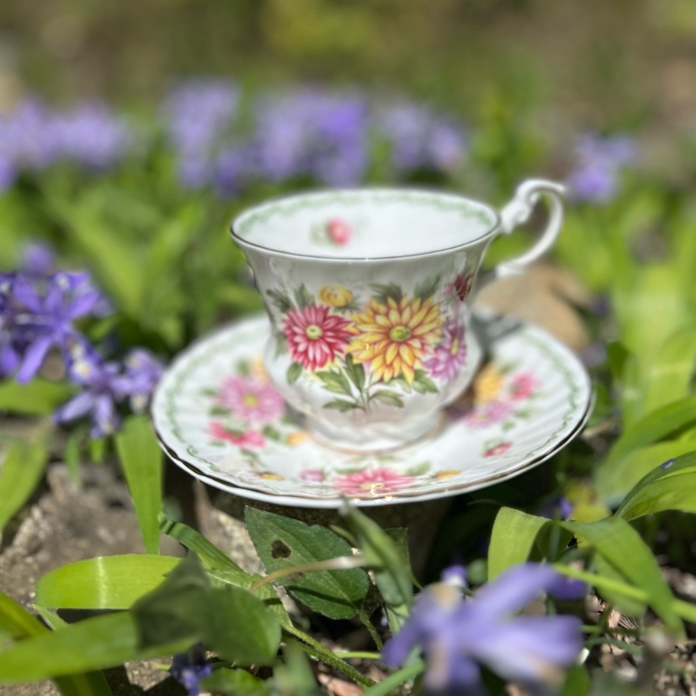 Vintage Queen’s Fine Bone China Teacup & Saucer | Aster Floral - Picture 3 of 5
